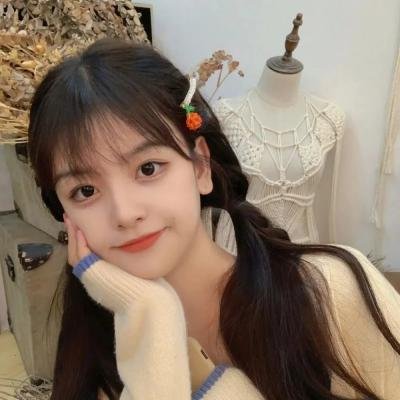 小菊的春天