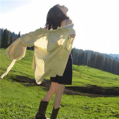 高山下的花环